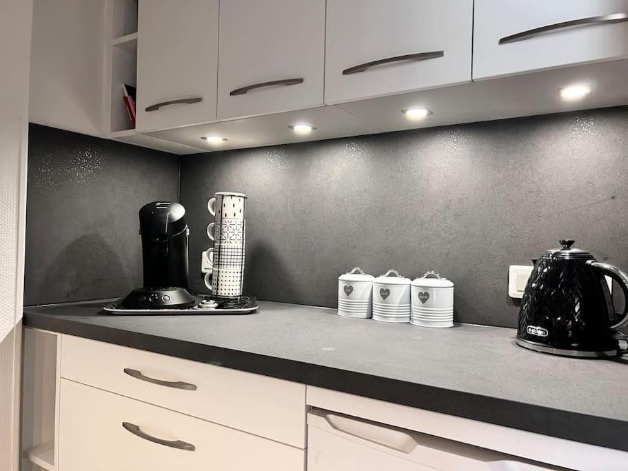 Grand T2 Cozy Avec Balcon Proche De Royatonic - 12 Rouzaud Appartement